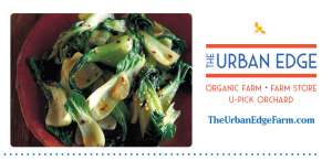 Wok-Seared Bok Choy