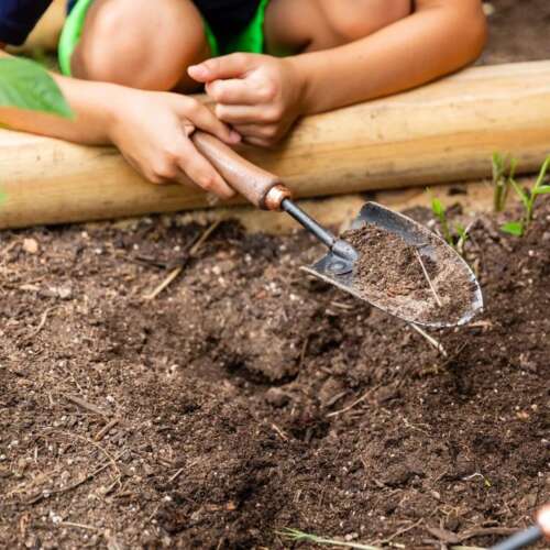 Someone holding a gardening shovel digging in soil